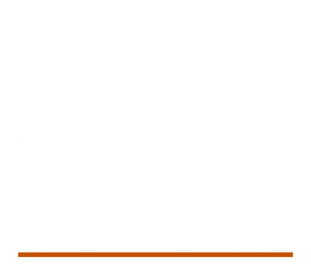 Extended Mind